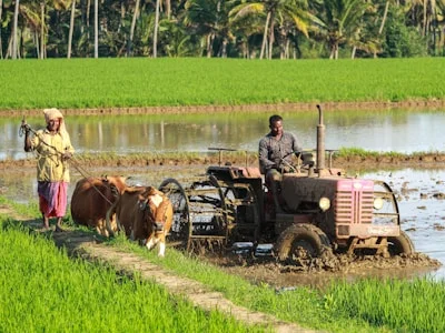 Agriculture