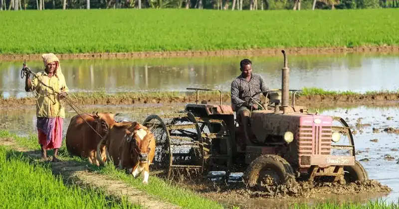 Smart Agriculture
